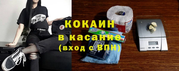 твердый Михайлов