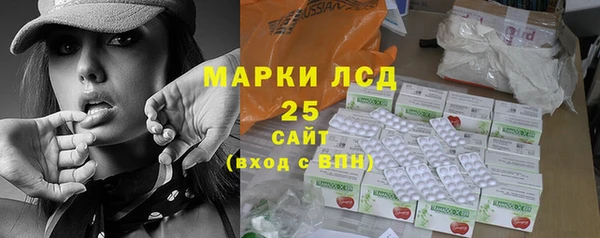 твердый Михайлов