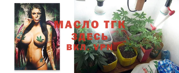 дурь Няндома