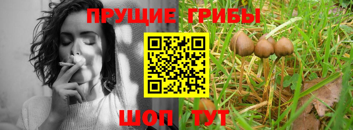 Галлюциногенные грибы мицелий  Псилоцибиновые грибы Magic Shrooms  Тында 